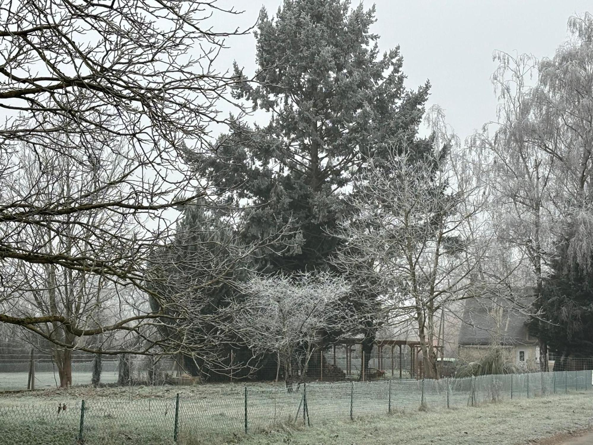 La Haute Tremiere Charenton-du-Cher Buitenkant foto